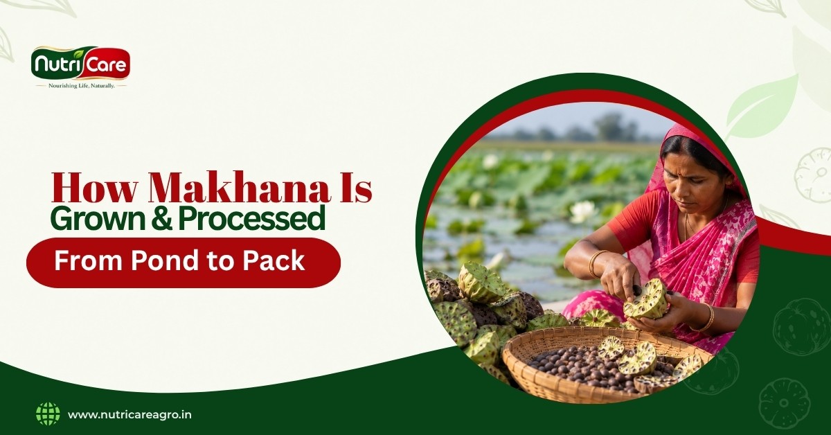 How Makhana is Grown and Processed: From Pond to Pack?